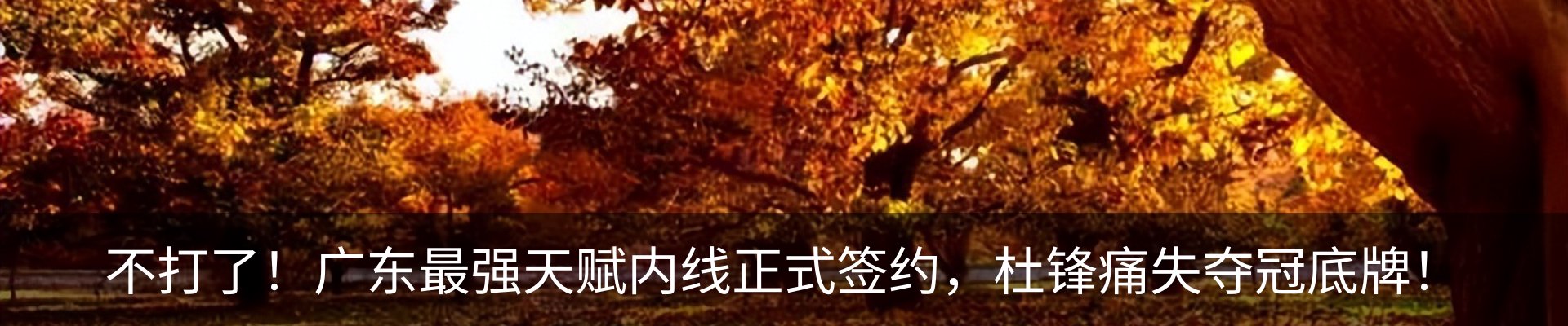 资讯动态
